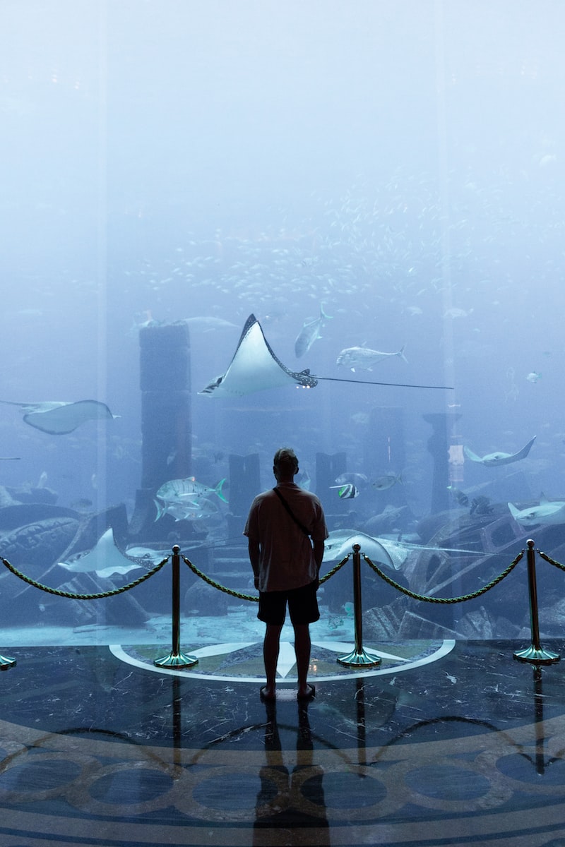 atlantis discord atlantis discord