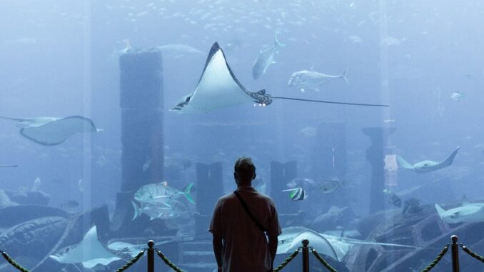 uploaded-image-atlantis-dugun-salonu-1696846177210